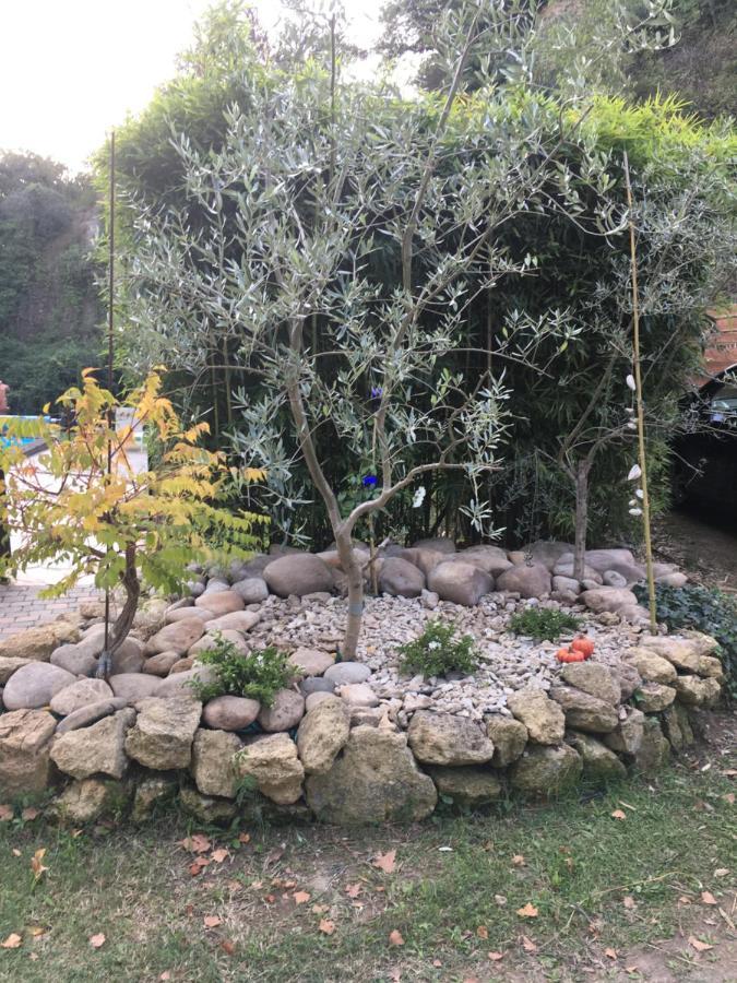 Le Mas Aux Aromes Puget Exterior photo